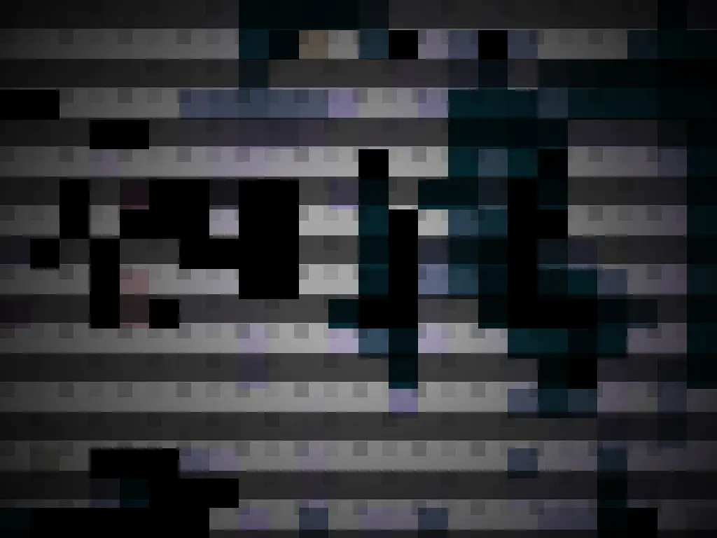 Webcam Capture Pixel Noir