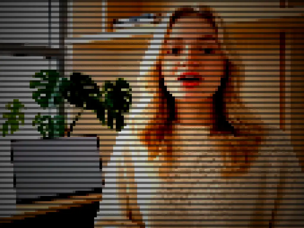 Webcam Capture Pixel Tv