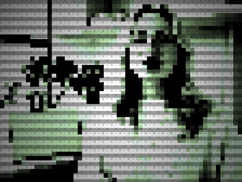 Webcam Capture Pixel Vert