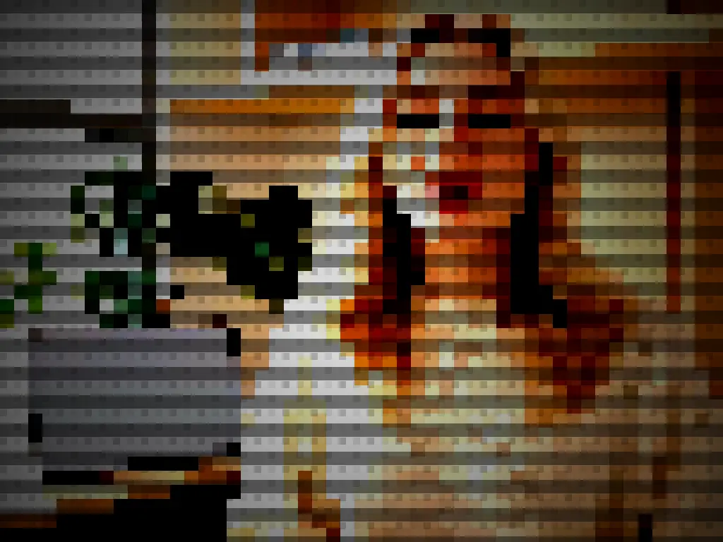 Webcam Capture Pixel